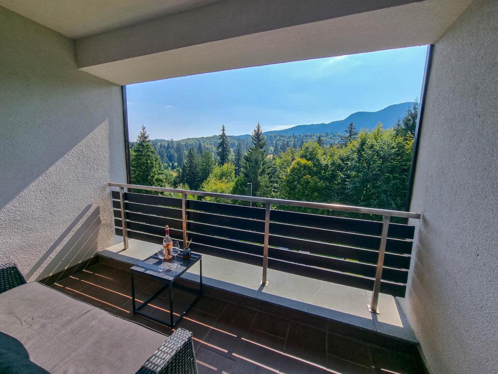 Silver Mountain G1 21 R Poiana Brasov Eksteriør billede