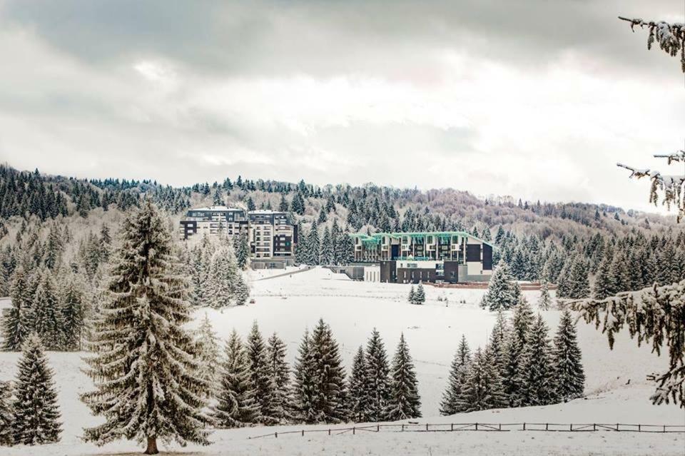 Silver Mountain G1 21 R Poiana Brasov Eksteriør billede